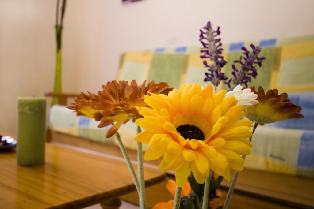 Apartamentos Dana Madrid Oda fotoğraf